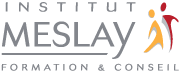 Institut meslay